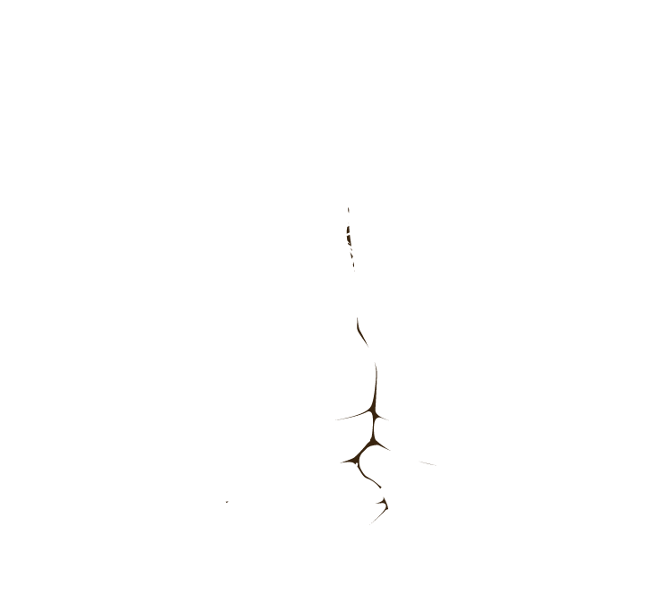 Worcester County Conservation District