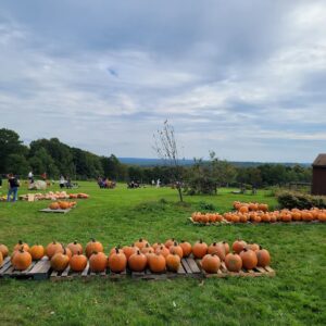 Join us for our Annual Meeting @ Lilac Hedge Farm on Wednesday, November 20, 2024!