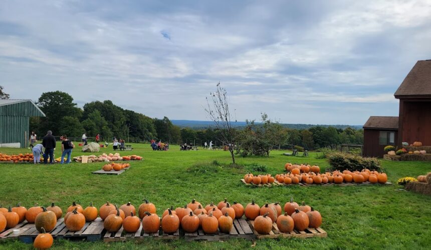 Lilac Hedge Join us for our Annual Meeting @ Lilac Hedge Farm on Wednesday, November 20, 2024!
