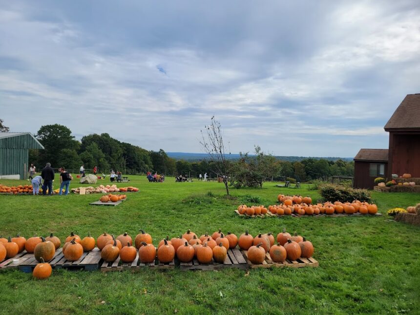 Join us for our Annual Meeting @ Lilac Hedge Farm on Wednesday, November 20, 2024!