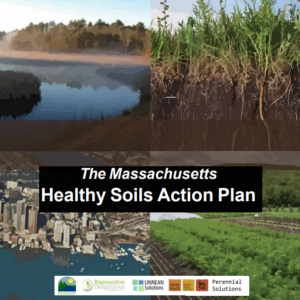 Learn more about the Healthy Soils Action Plan