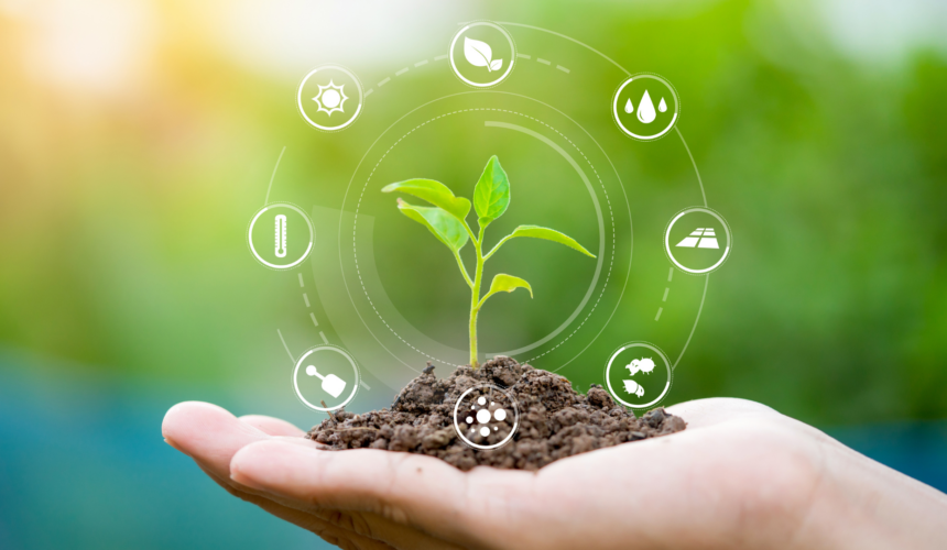 Growing soil plant Annual Scholarship application submission is closed