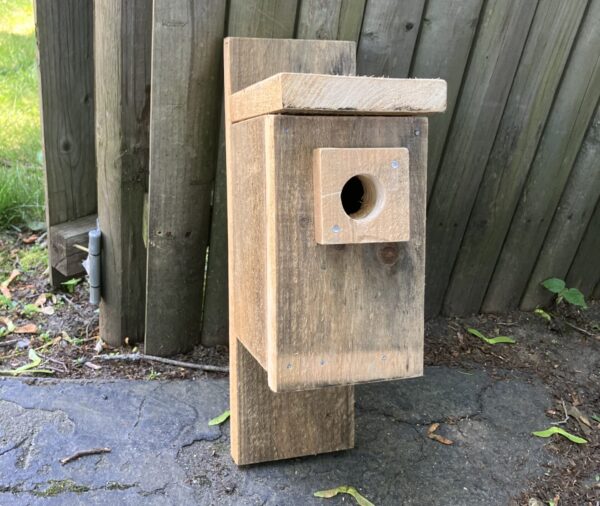 Pine bird box at the center of the photo leaning against a wooden fence. The box is a rectangular with an entrance hole near the top.