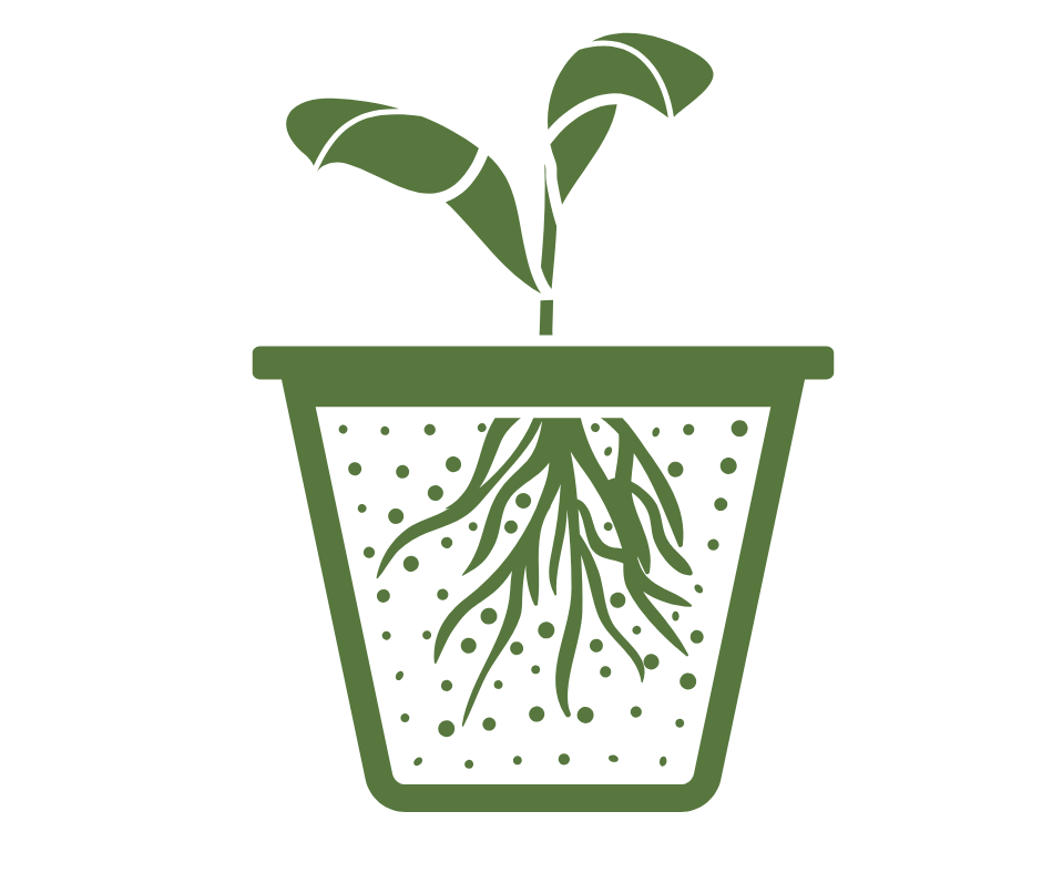 Winter Sow Workshops with Worcester Native Plant Initiative