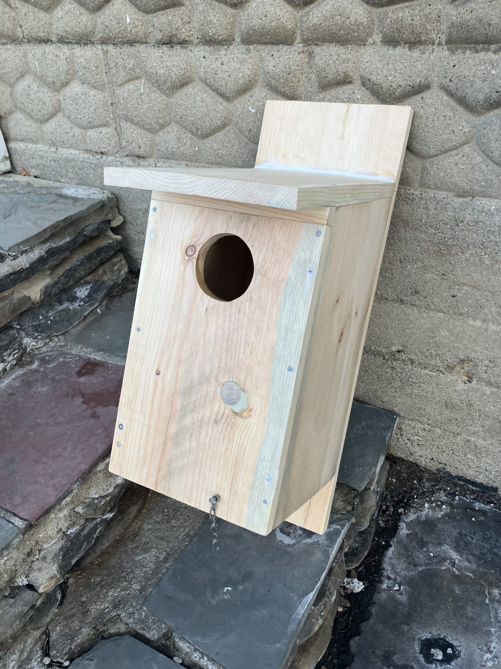 Screech Owl Box