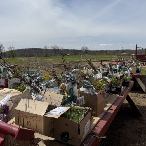 Plant Sale Jordan's 2026