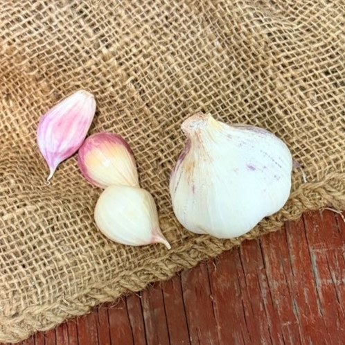 One garlic bulb and three cloves on a burlap on top of a painted red surface. Garlic cloves have a pink tint.