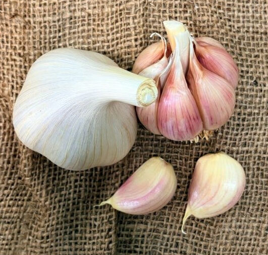 Two garlic bulbs and two cloves on burlap. The bulb on the left has the white wrapper still on while the other one and the cloves are pale pink.