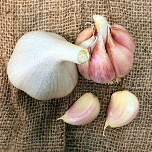 Two garlic bulbs and two cloves on burlap. The bulb on the left has the white wrapper still on while the other one and the cloves are pale pink.