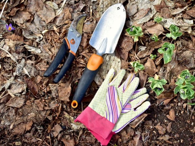 Native Plant Installation with North County Land Trust