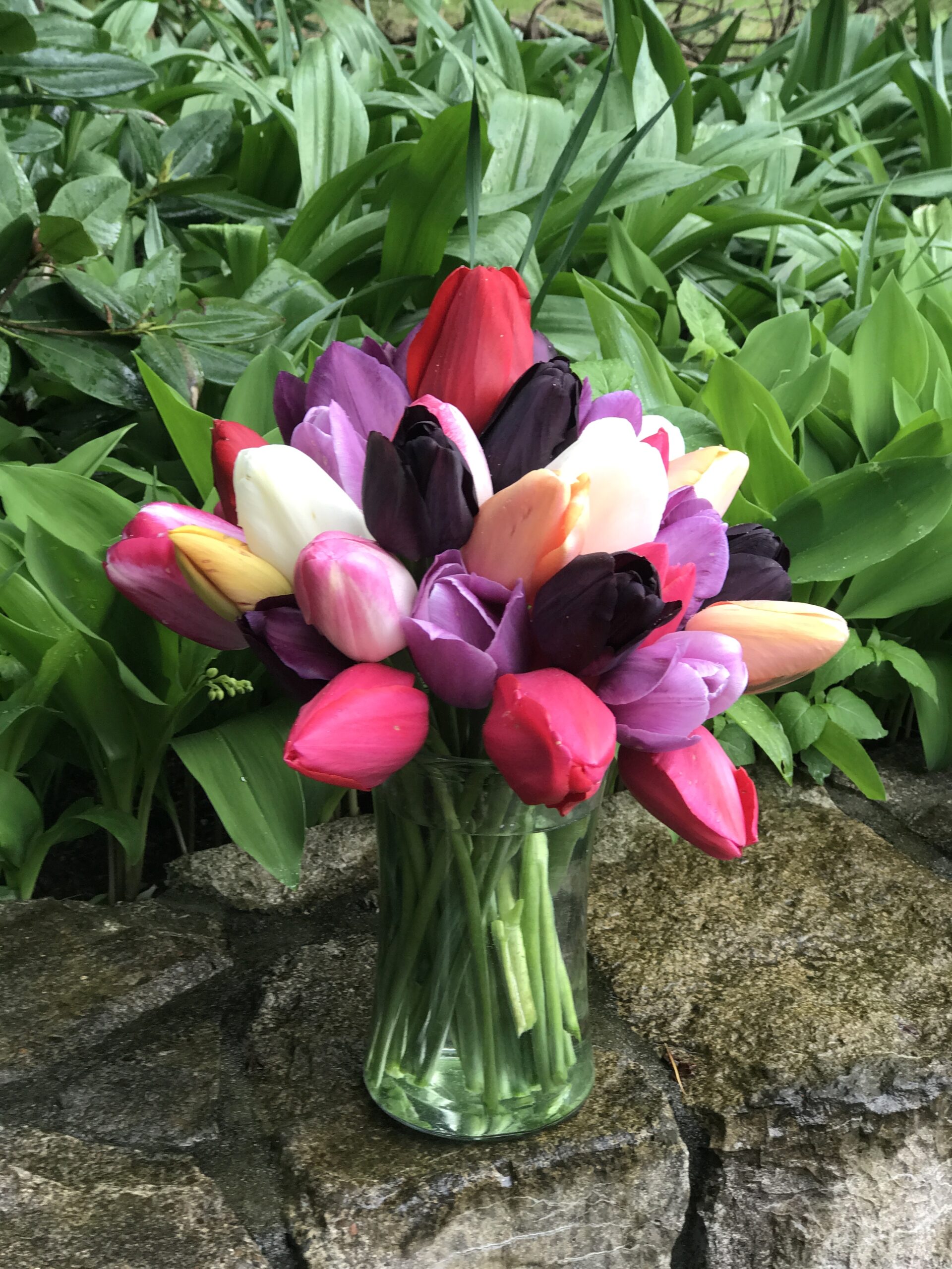 An arrangement of tulips in a clear vase. The tulips have a range of pinks, light and dark purple, white, and light orange. The vase is on a stone wall and there is greenery in the background.